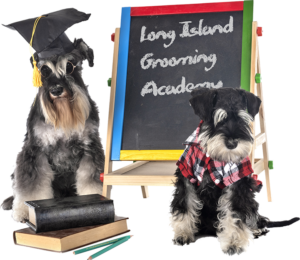 long-island-grooming-academy-courses